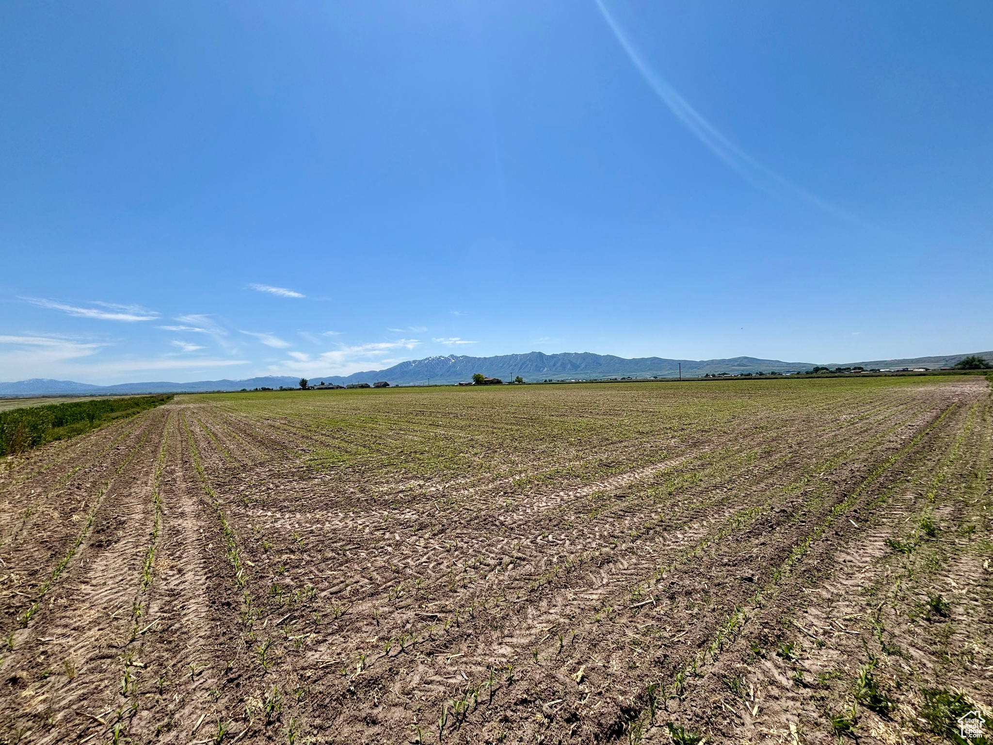 APPLIANCE LOT SPLIT - Land