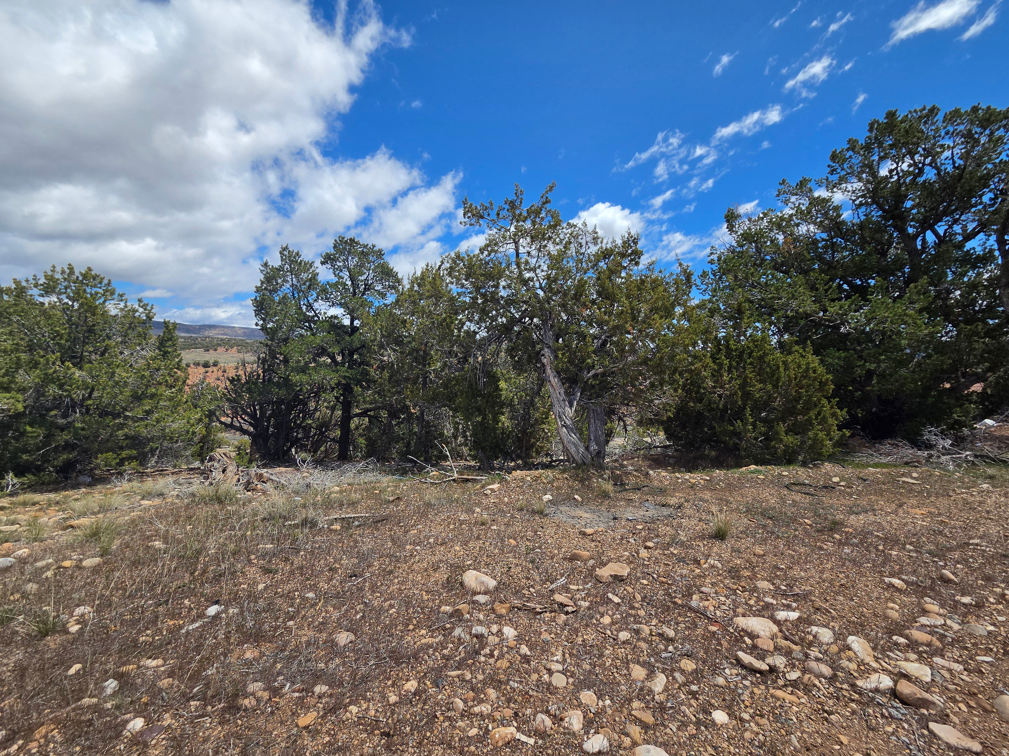 BANDANNA RANCH - Residential