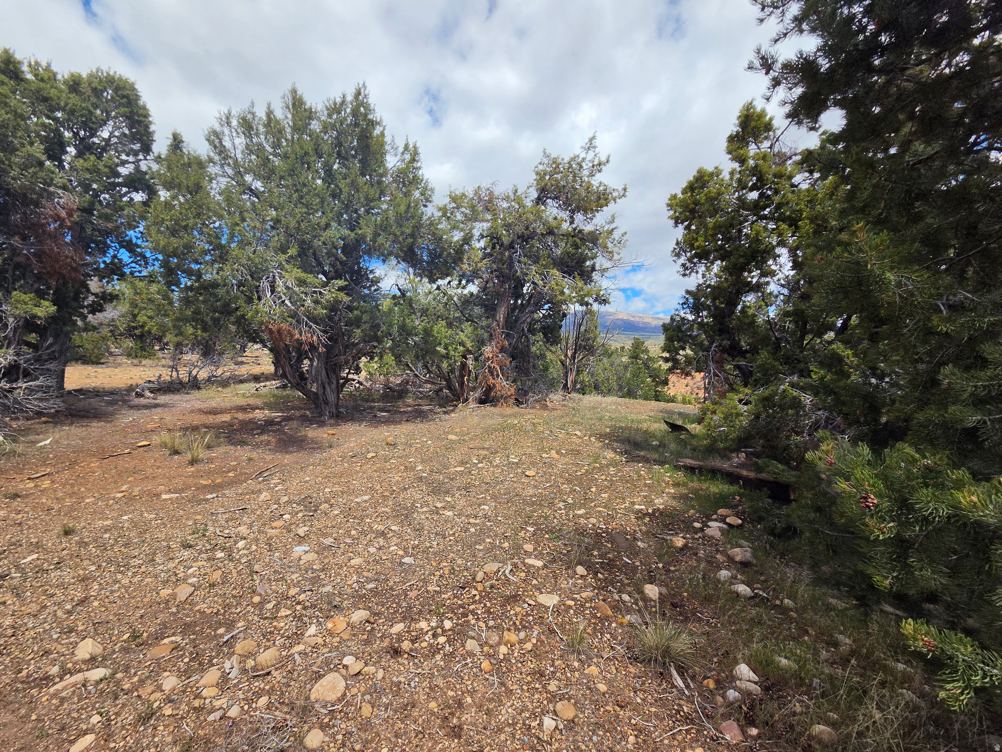 BANDANNA RANCH - Residential