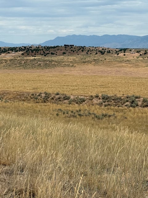 Vacant Land For Sale - #25<br/> Levan, UT 84639