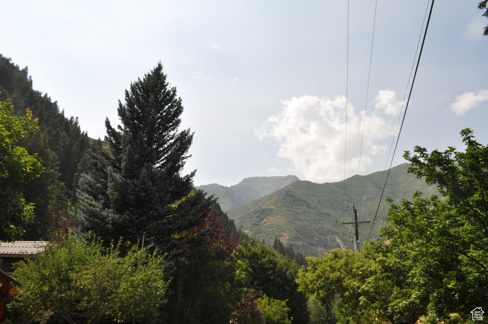 Provo Canyon, Utah 84604, United States, ,Land,Pending,51248