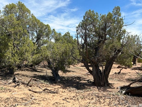 Tiny photo for 0, Talmage, UT 84073 (MLS # 2180429)
