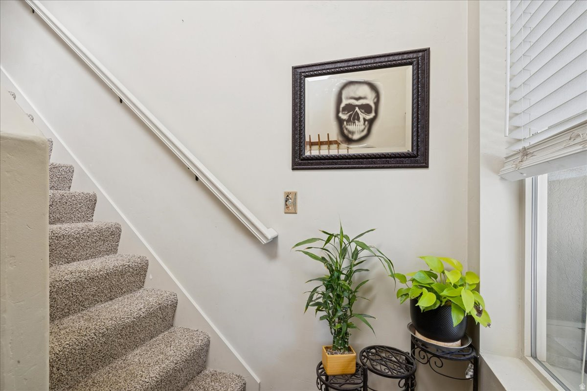 CHILD FARMS - Residential