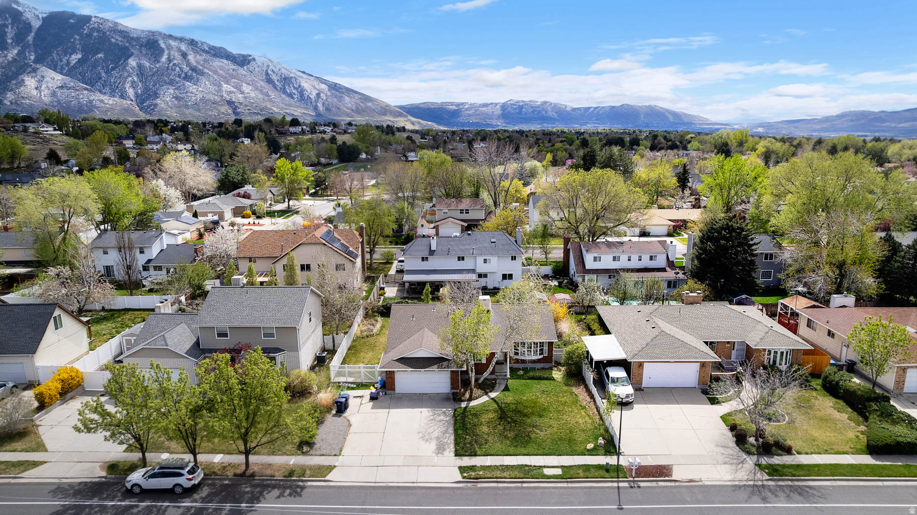 WILDFLOWER - Residential