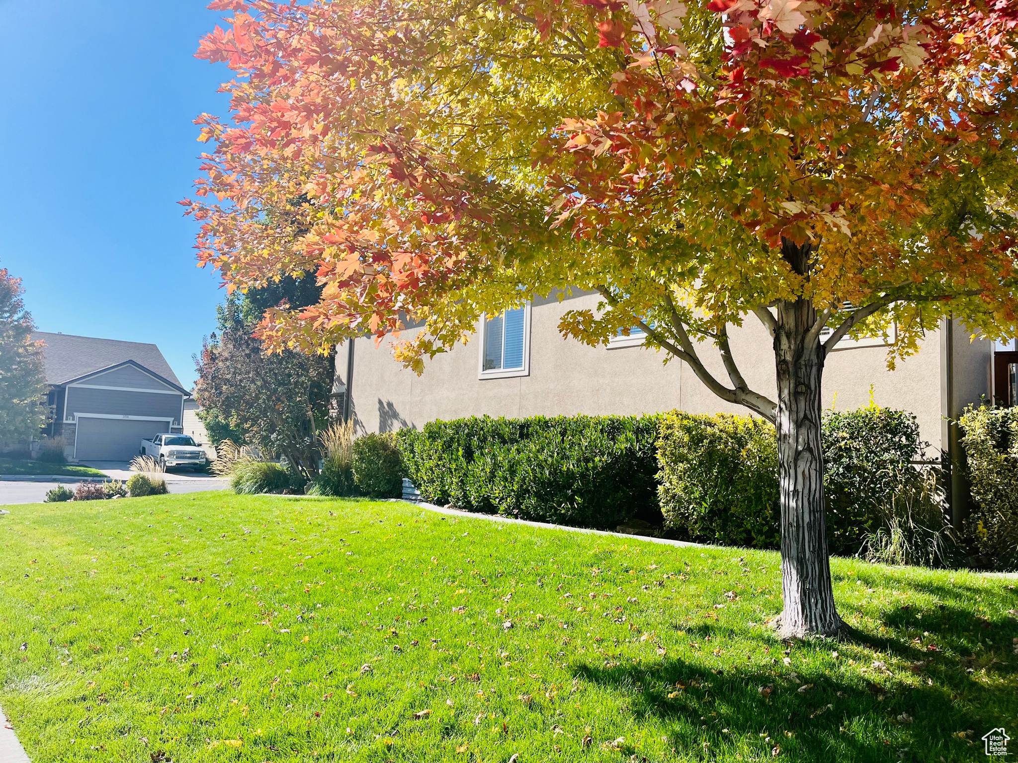 JOSHUA COURT 2 - Residential