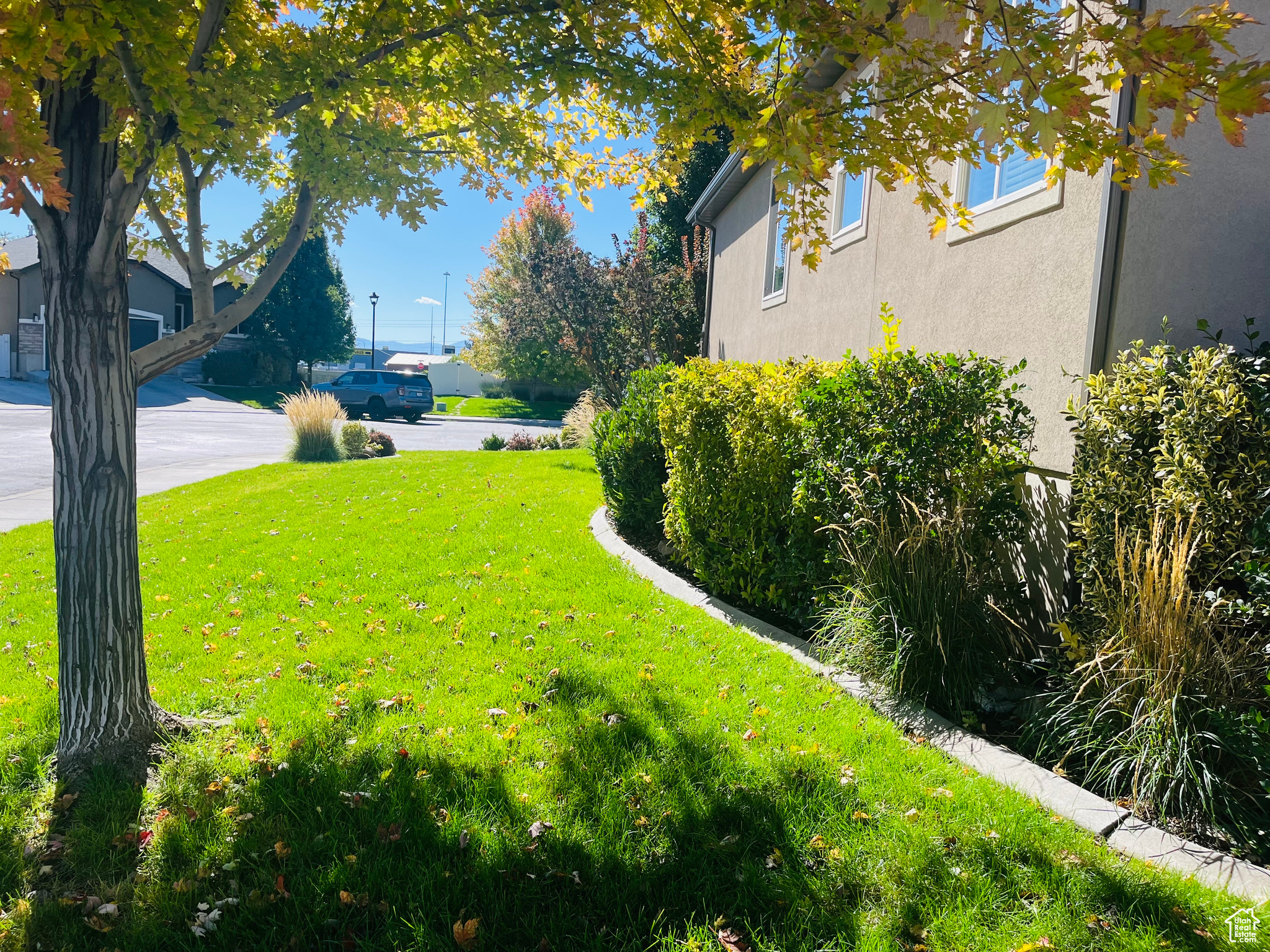 JOSHUA COURT 2 - Residential