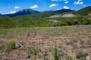 SKYRIDGE SUBDIVISION - Land