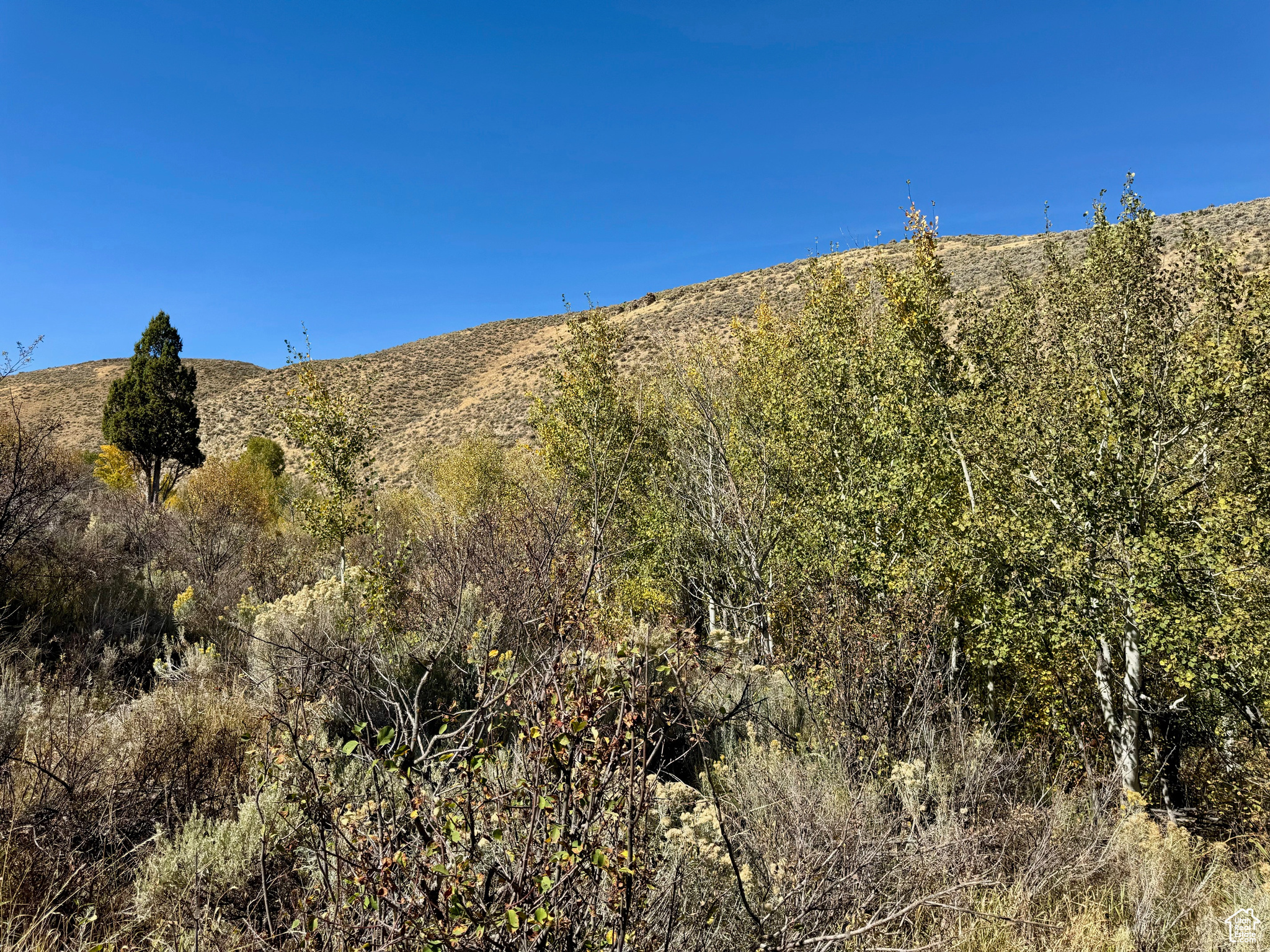 Land, Paris, Idaho image 4