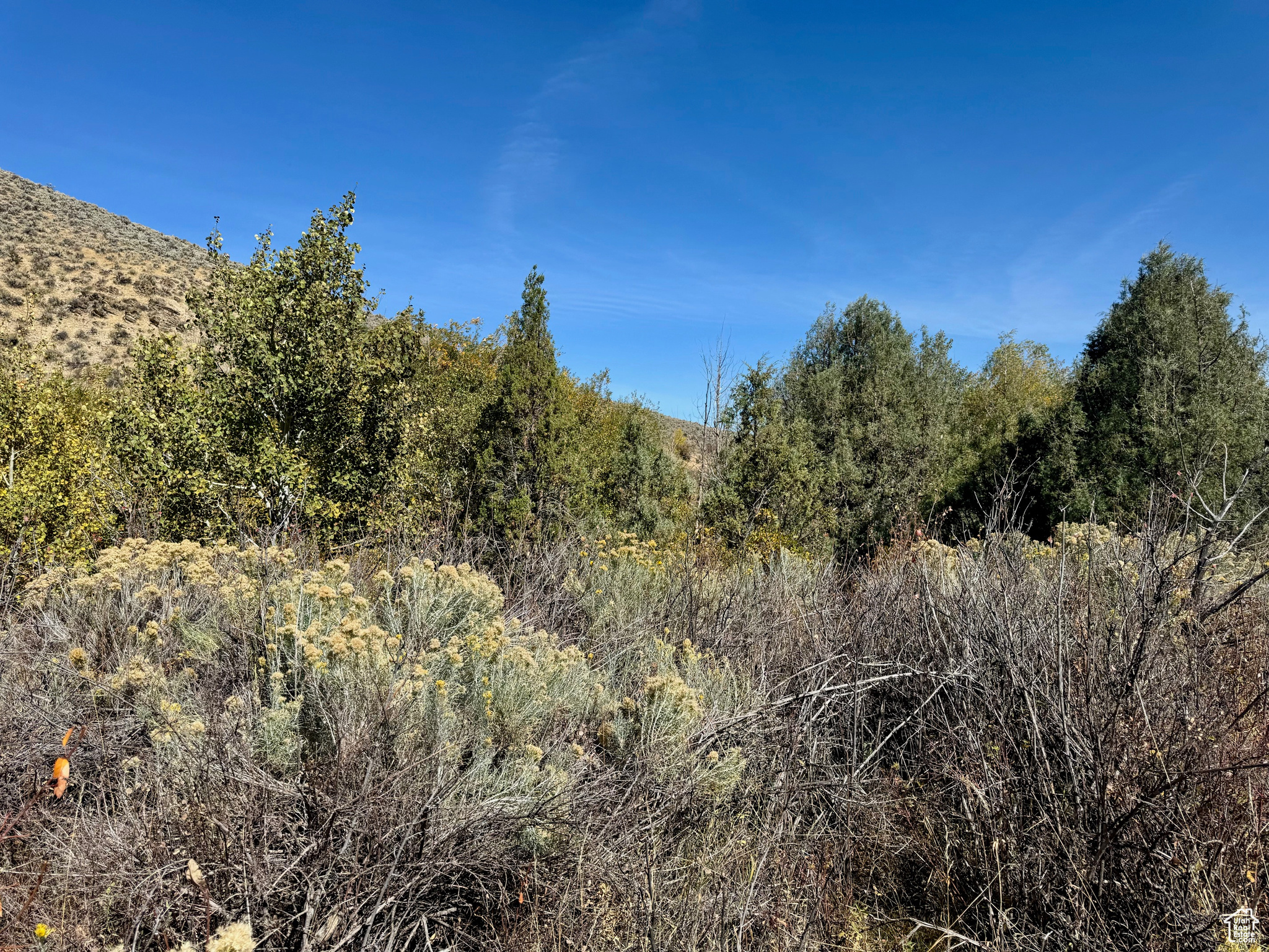 Land, Paris, Idaho image 3