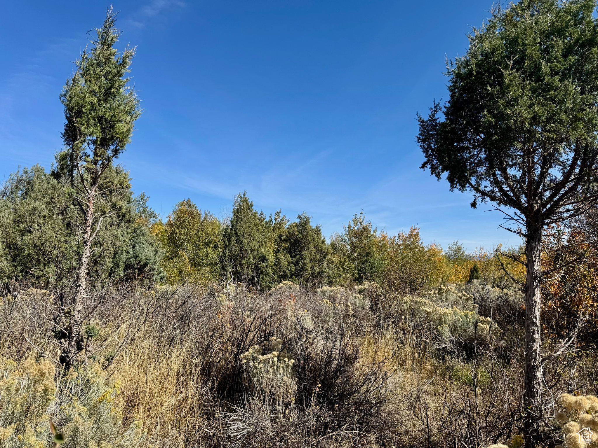 Land, Paris, Idaho image 7