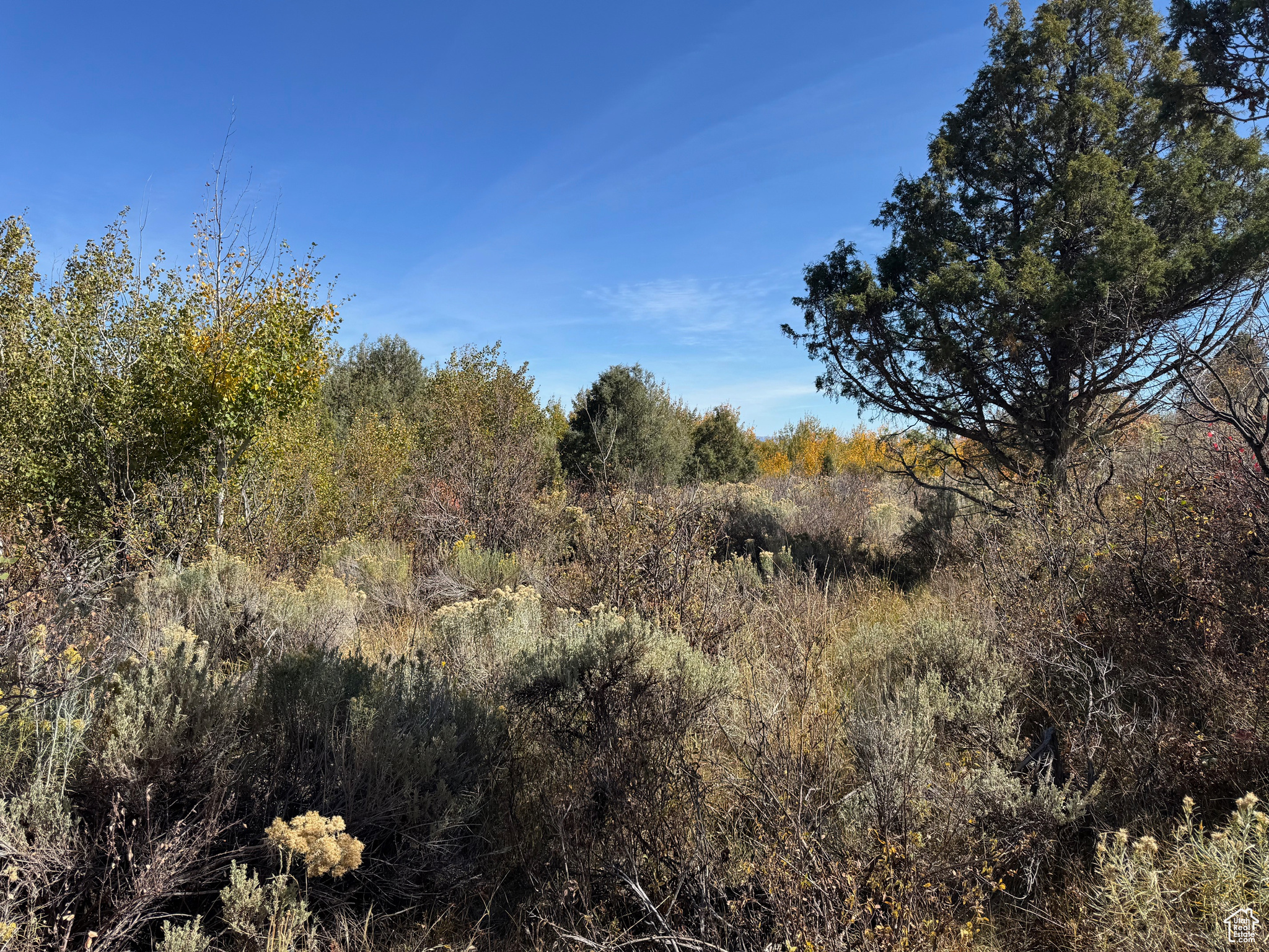 Land, Paris, Idaho image 6