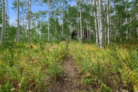 Tiny photo for 5485 N PINECONE RD #214, Midway, UT 84049 (MLS # 2176403)