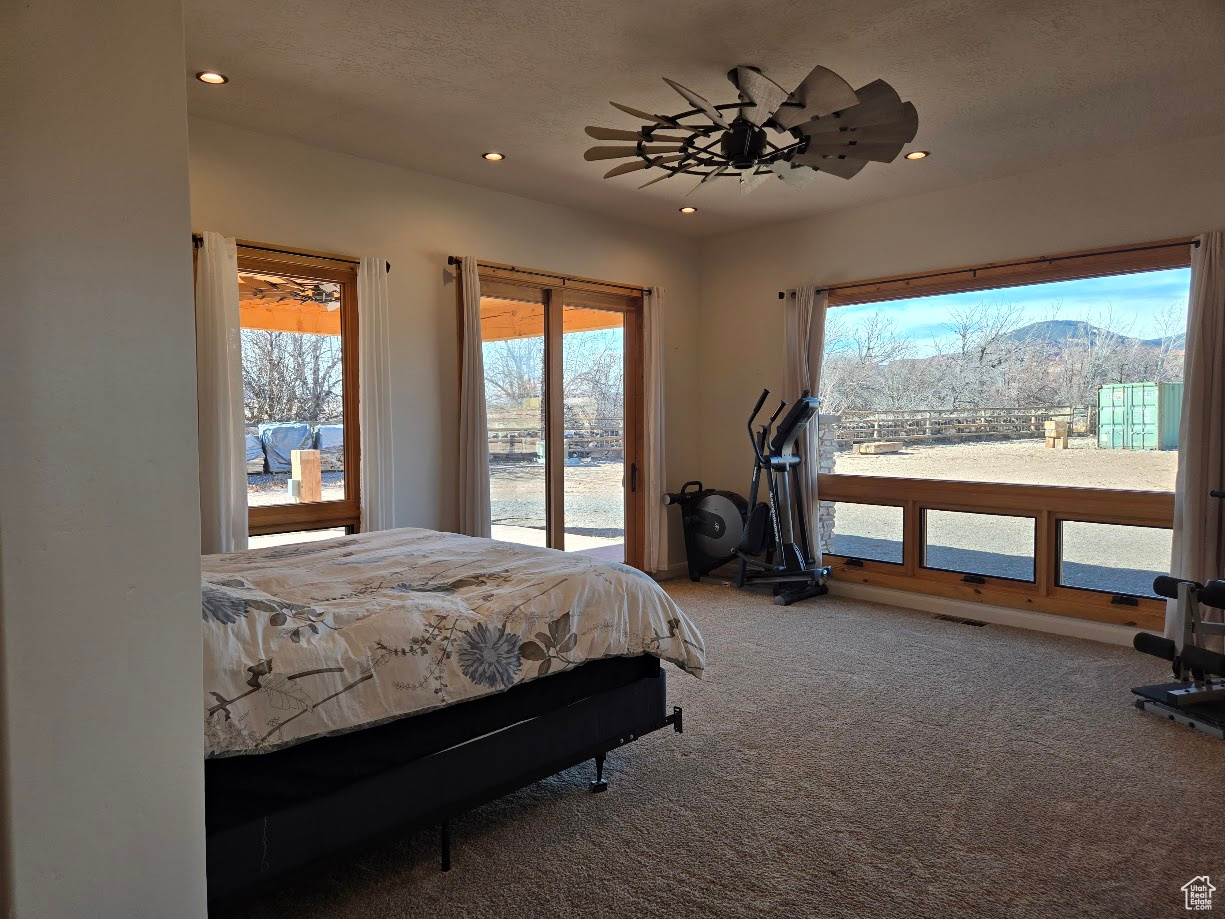 630 W 150, Torrey, Utah image 36