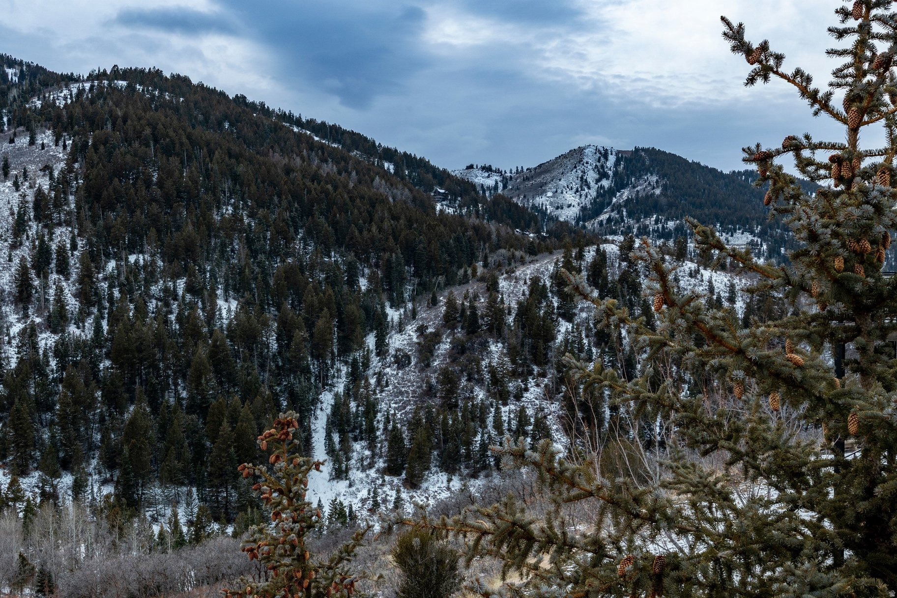 PINERIDGE SUB - Residential