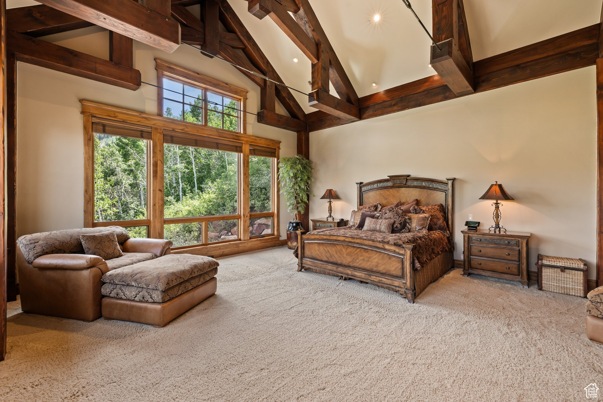 THE COLONY AT WHITE PINE CANYON - Residential