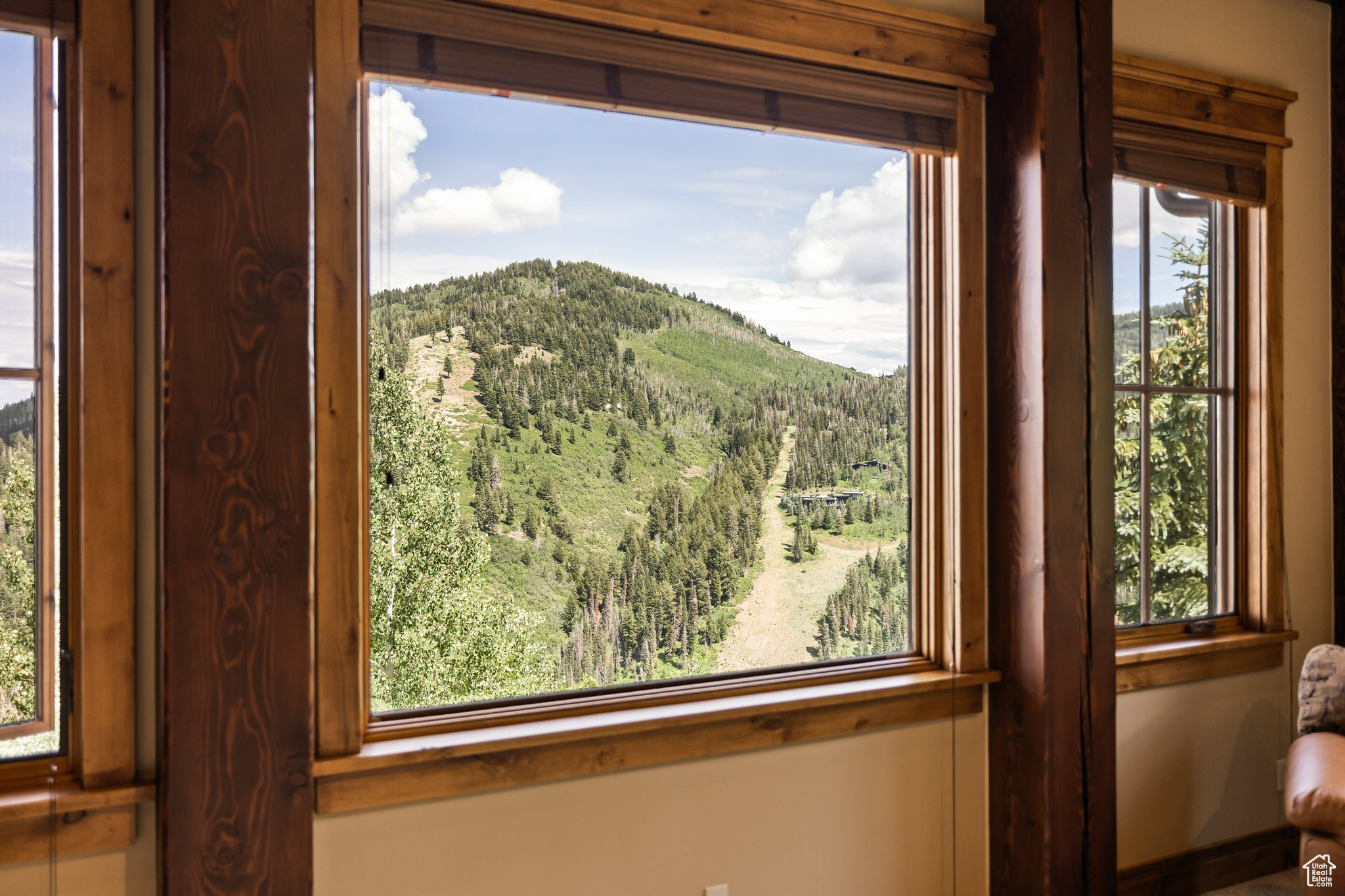 THE COLONY AT WHITE PINE CANYON - Residential