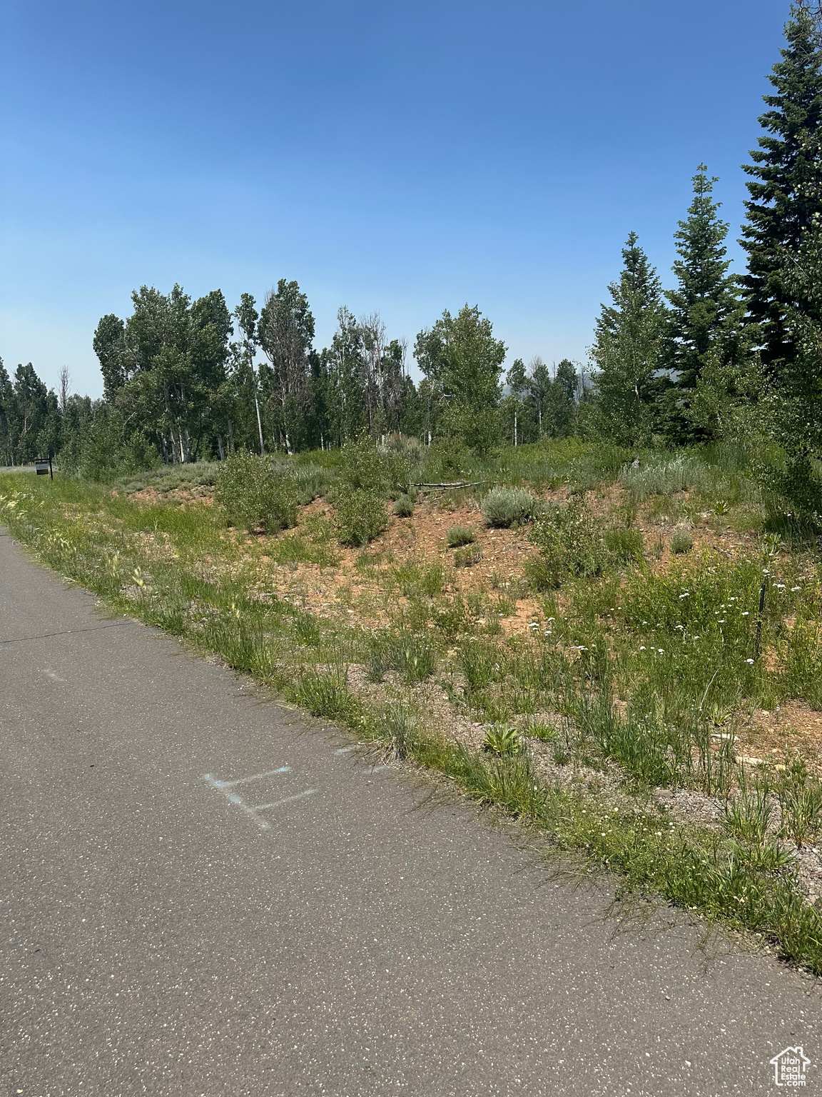 WHISPERING PINES - Land