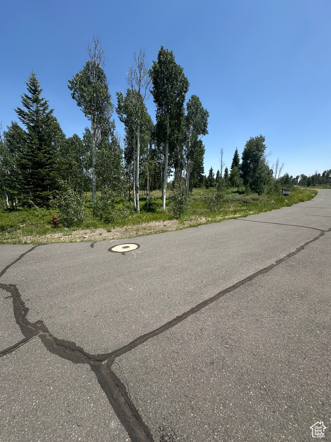 WHISPERING PINES - Land