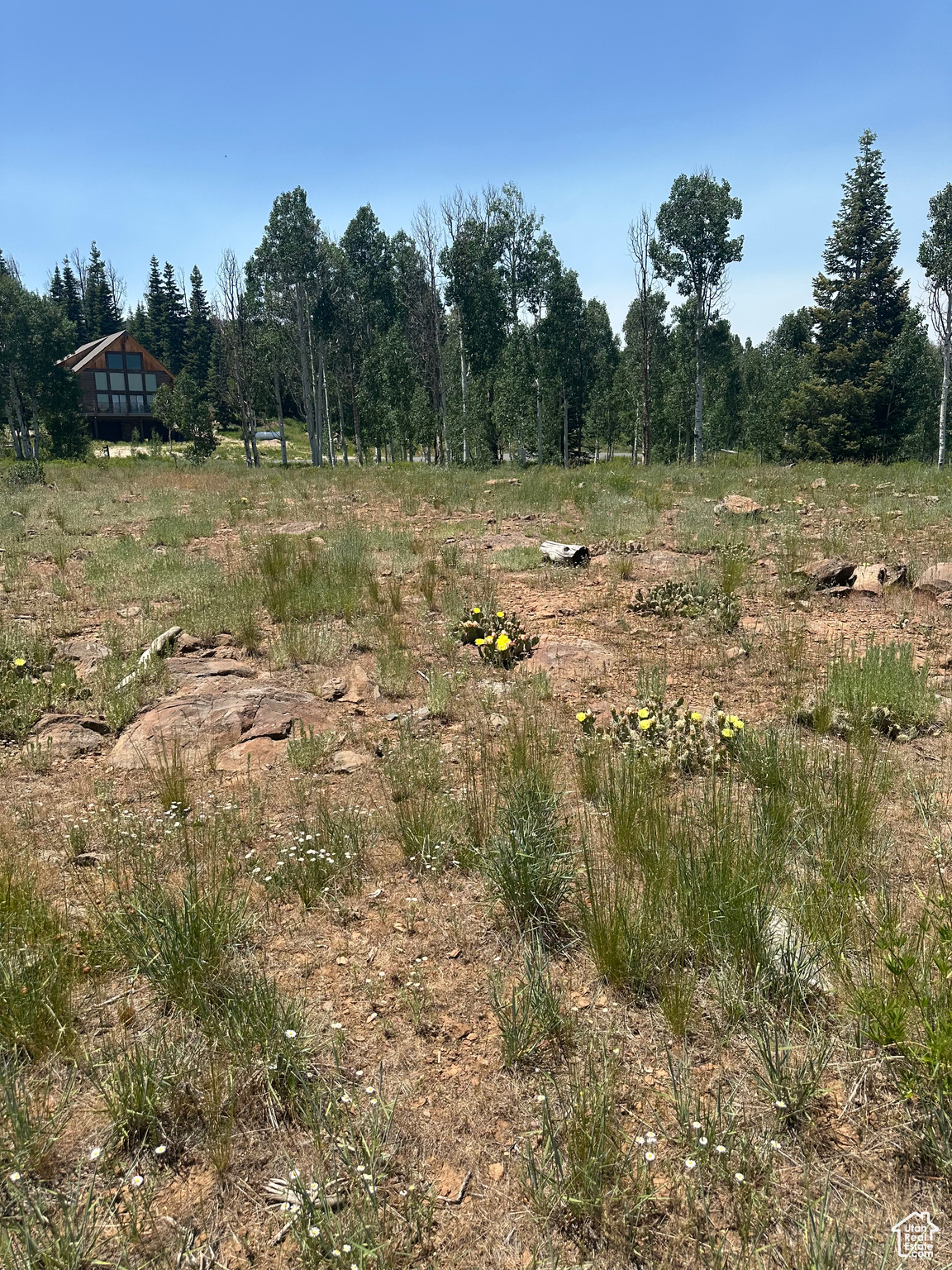 WHISPERING PINES - Land