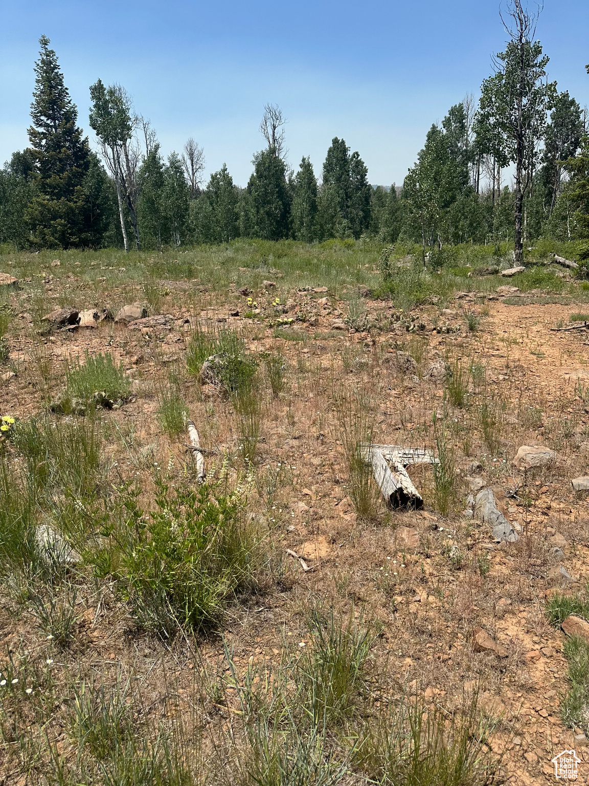 WHISPERING PINES - Land