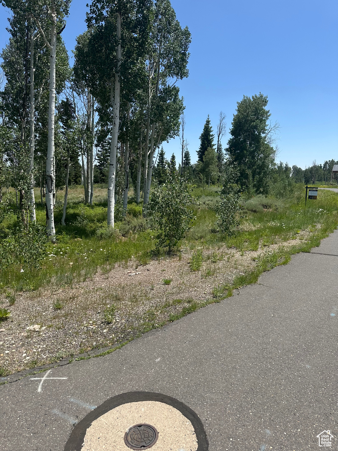 WHISPERING PINES - Land