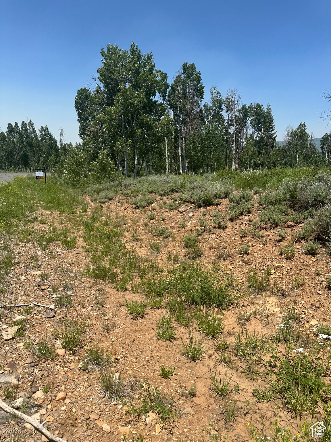 WHISPERING PINES - Land