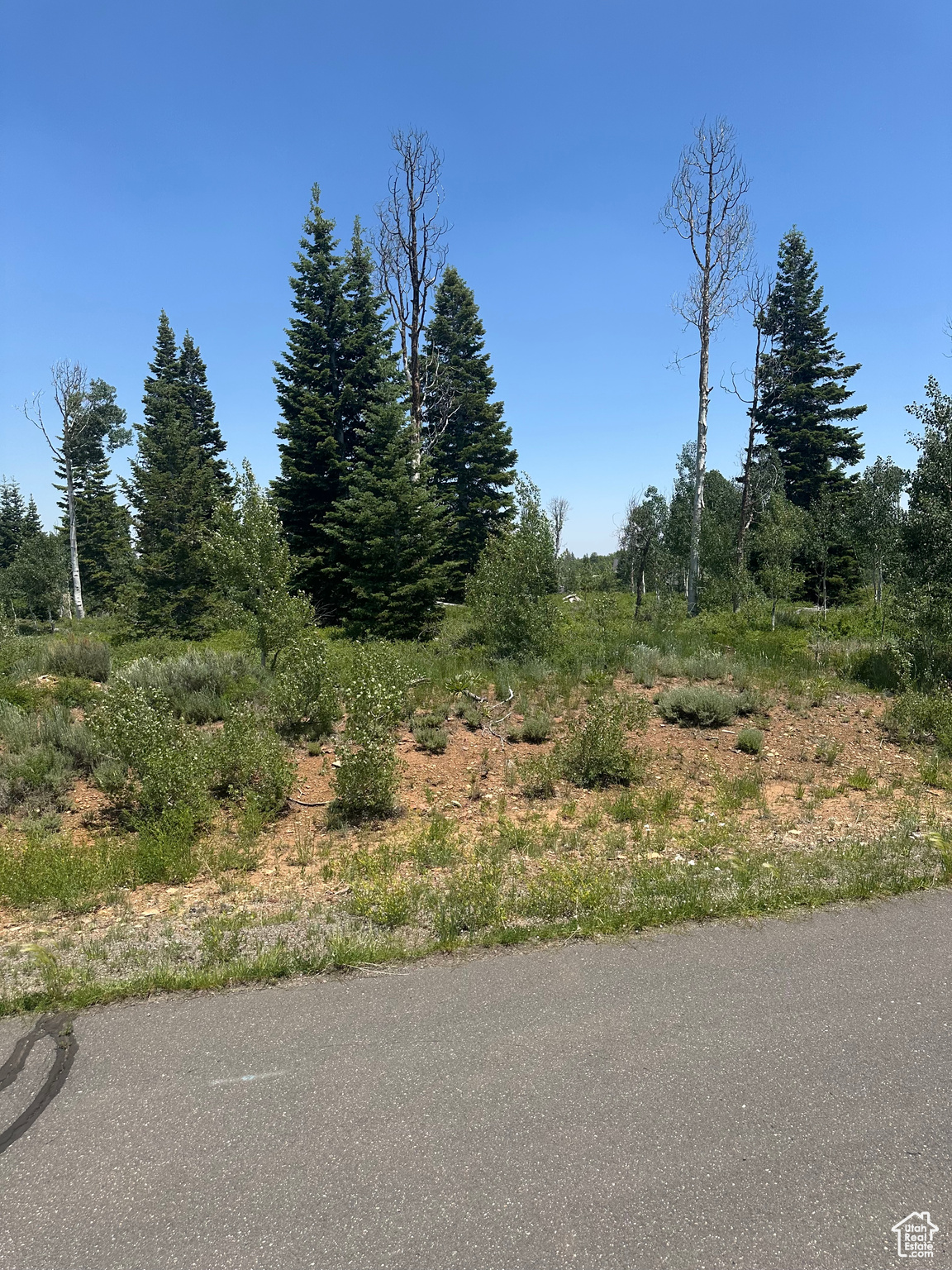 WHISPERING PINES - Land