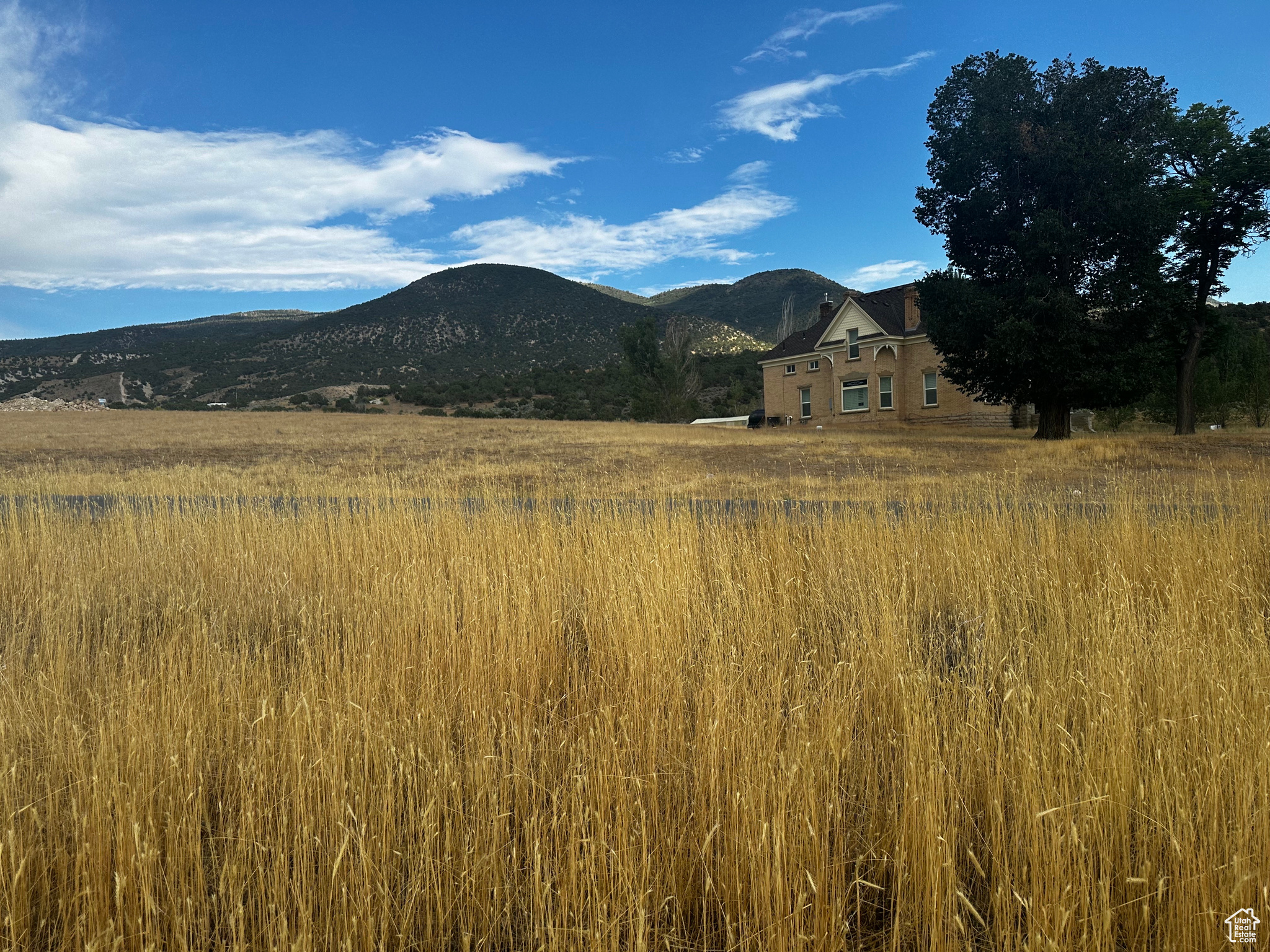 WILLIAMS ACRES SUBDIVISION - Land