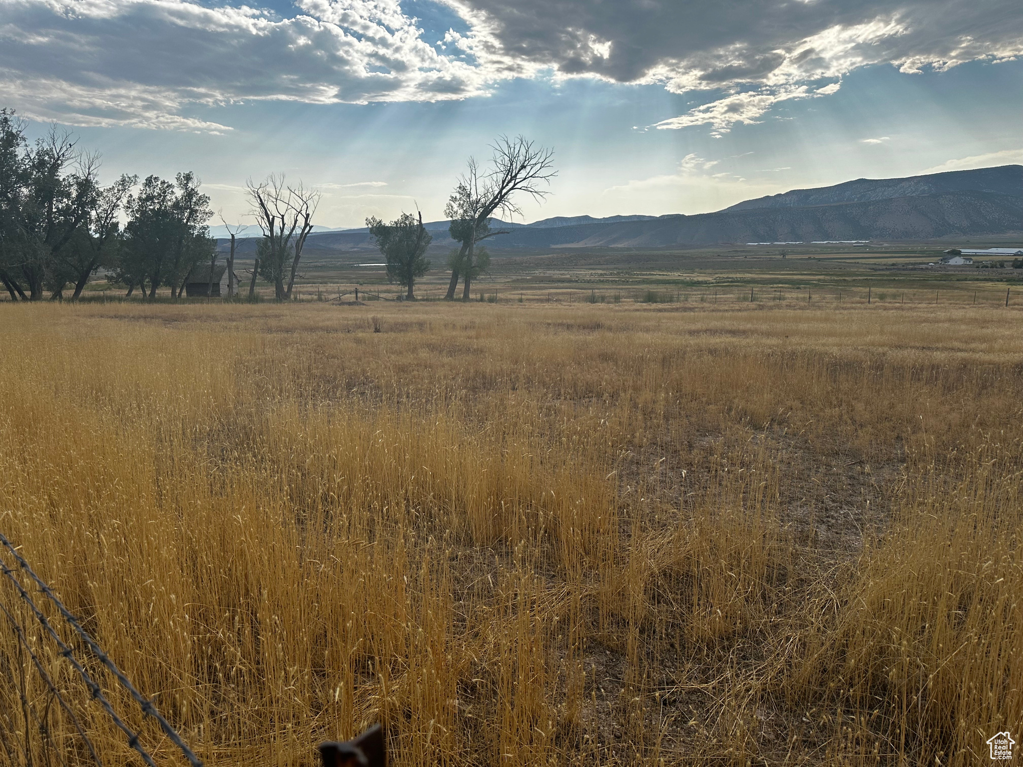 WILLIAMS ACRES SUBDIVISION - Land