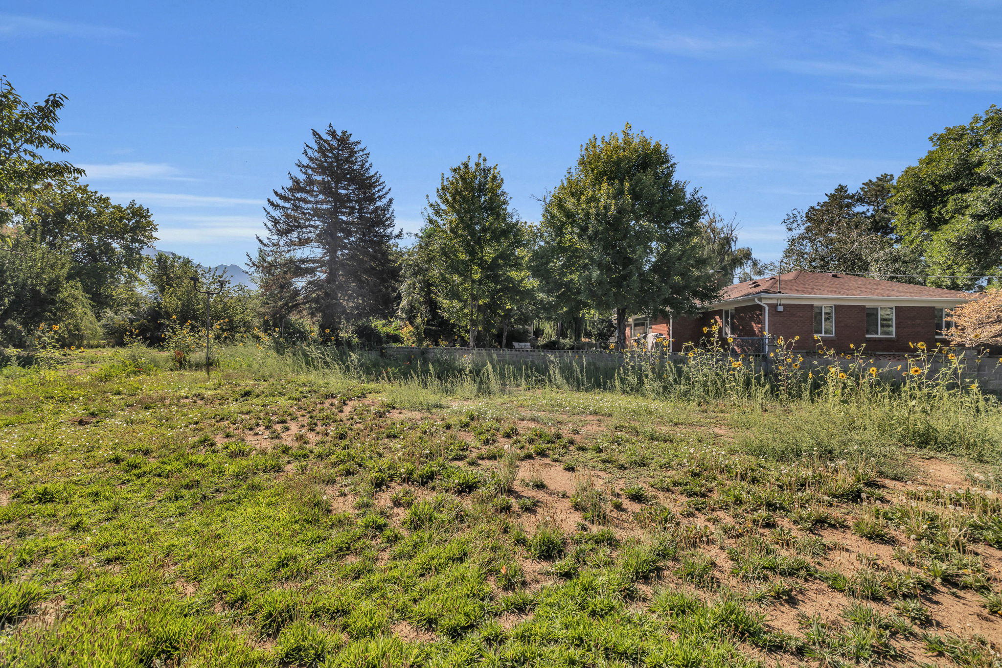 TANNER - Residential