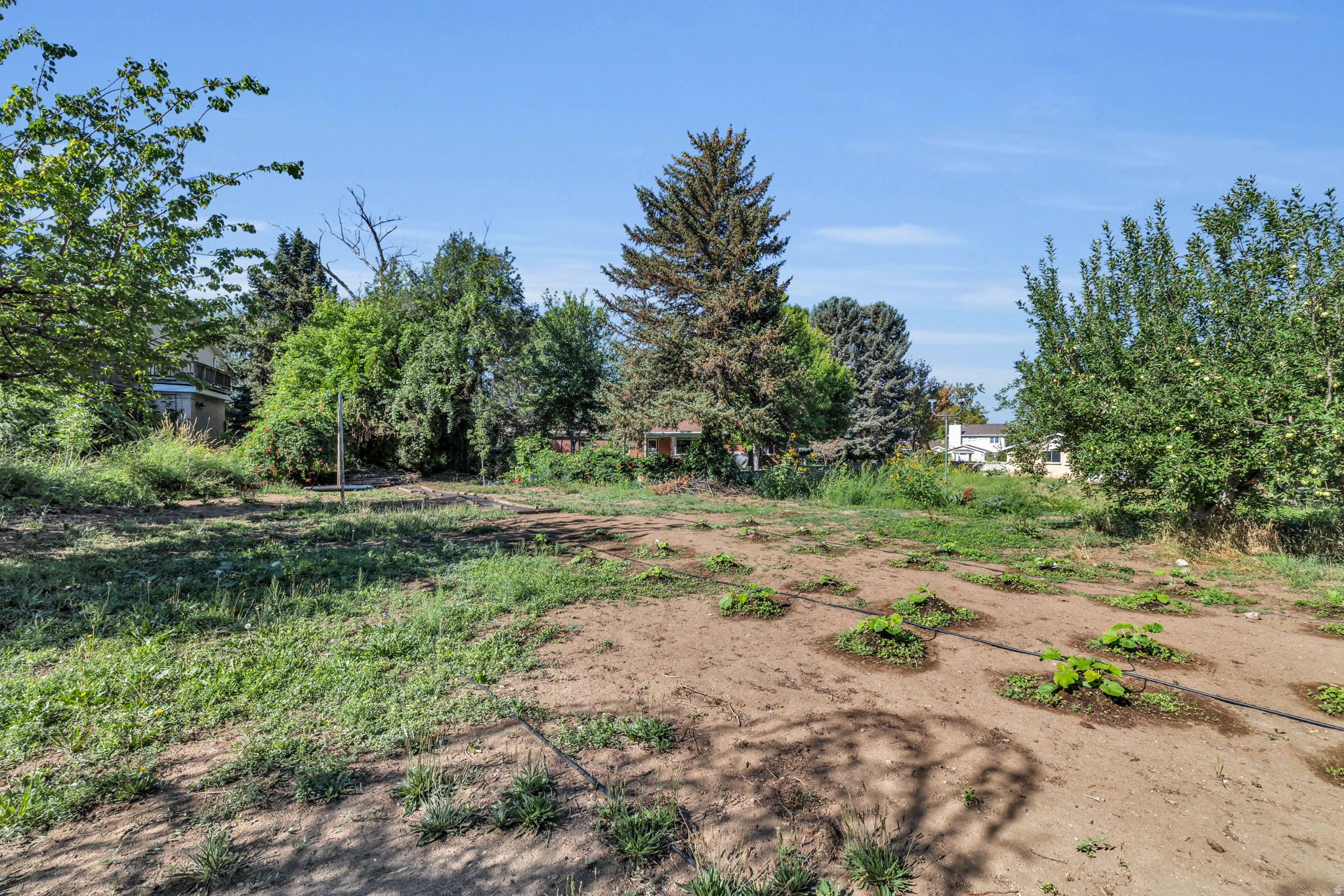 TANNER - Residential