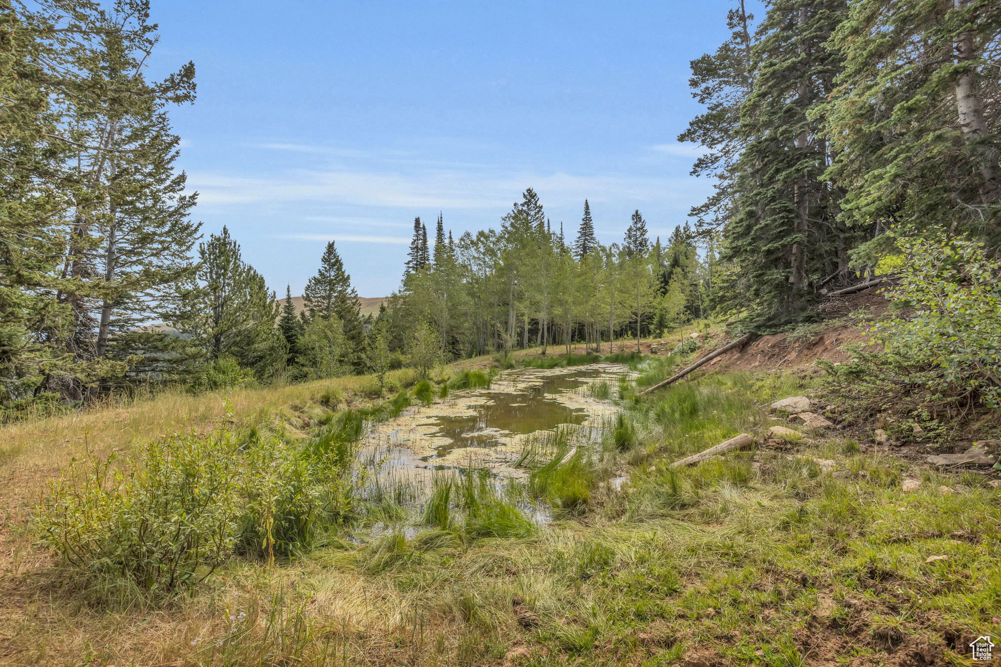 10780 Ford Ridge Rd, Helper, Utah image 30