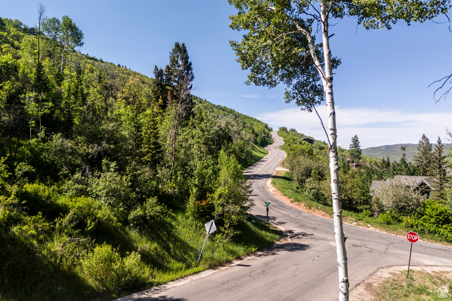 Combining both privacy and serenity with big downhill mountain and valley views from the homesite, this remarkable lot offers a rare opportunity to build a custom home on approx 1.42 acres in Park City. Flanked on two sides by Pinebrook Master Association dedicated open space and accompanying hiking trails, expanding the site into the 21 mile Pinebrook trail system for immediate recreational access. Located in a quiet cul de sac in the coveted Pineridge subdivision of Pinebrook with easy access to Park City and everything the area has to offer - world class ski resorts; Park City Mountain Resort and Deer Valley Resort, Deer Valley Resort is an easy 21 minutes away and is undergoing an historic 3700+ acres expansion, a new village, and revitalizing of the existing facilities. With this expansion, two of the largest ski resorts in North America will be in your backyard. Main Street in Old Town with restaurants, bars, shopping and annual music and art festivals, are a mere 15 minutes away. Additional area/seasonal activities include golf, biking, boating and blue ribbon fly fishing. Within 30 mins of Salt Lake International Airport, the flexibility that this location offers is compelling for any discerning buyer. This lot is offered with a full set of floor plans from the esteemed Otto/Walker architectural firm, known throughout the area for their impeccable design. Pinebrook Homeowners have the use of private tennis courts and sledding hill, plus a community park/ playground/basketball court for themselves and their guests to enjoy. As a year round subdivision, access to all conveniences - grocery stores, shops, restaurants and schools are all located at the base of Pinebrook. Frequent wildlife sightings in an unmatched natural setting completes the scene!