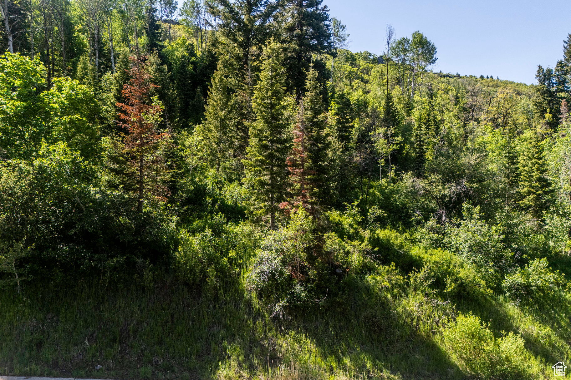 PINERIDGE SUBDIVISION - Land