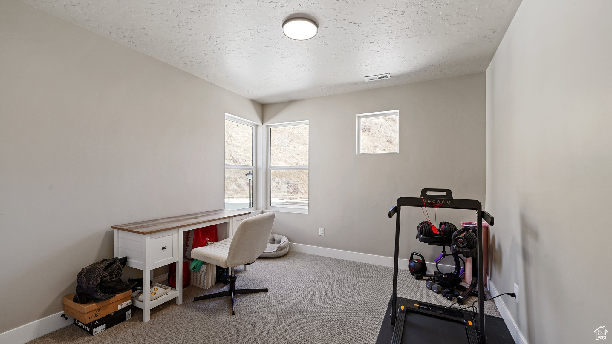 1817 W Bad Rock Cir #100303, Lehi, Utah image 18