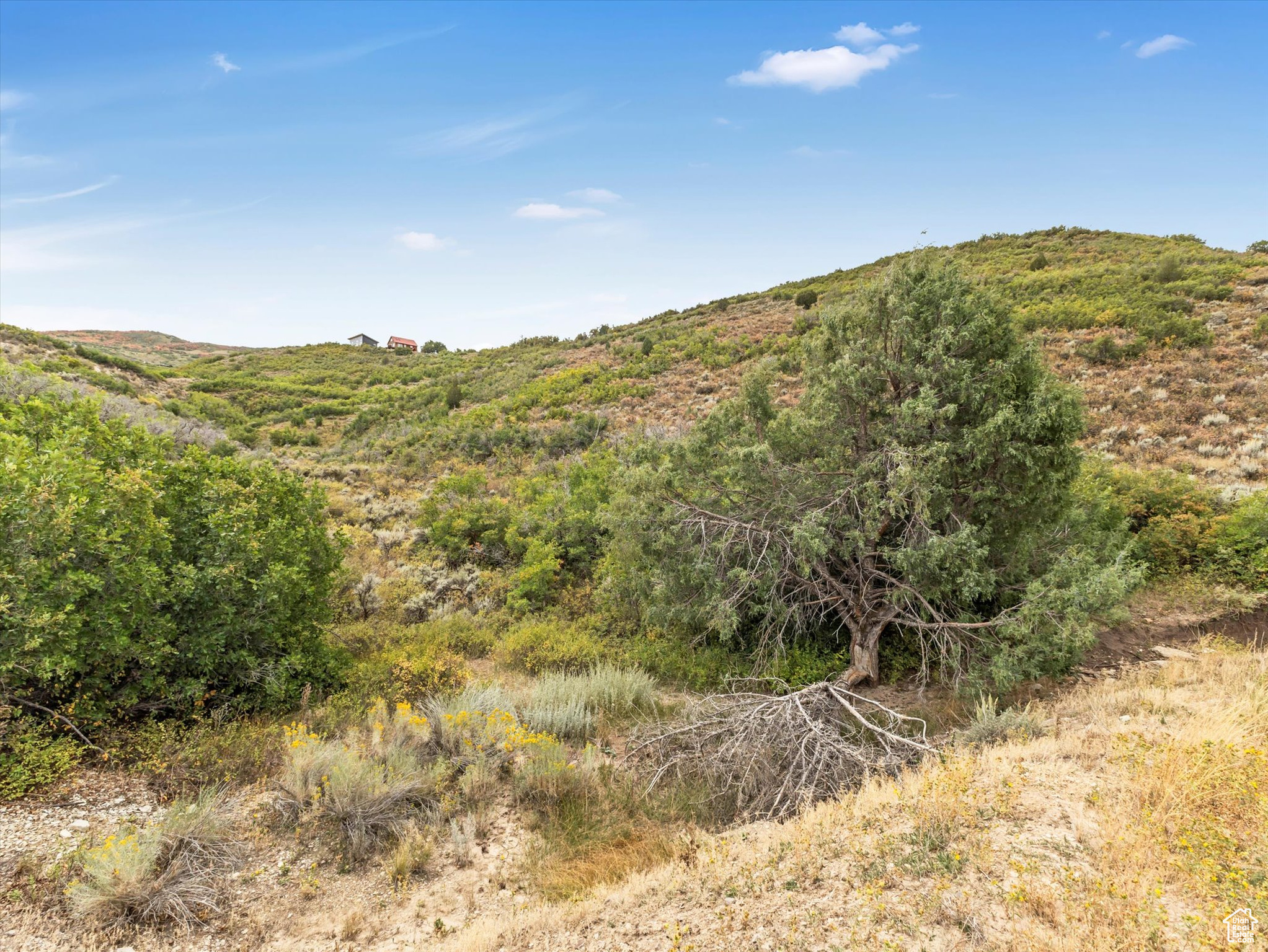 7106 E Overview Dr #1466, Heber City, Utah image 9