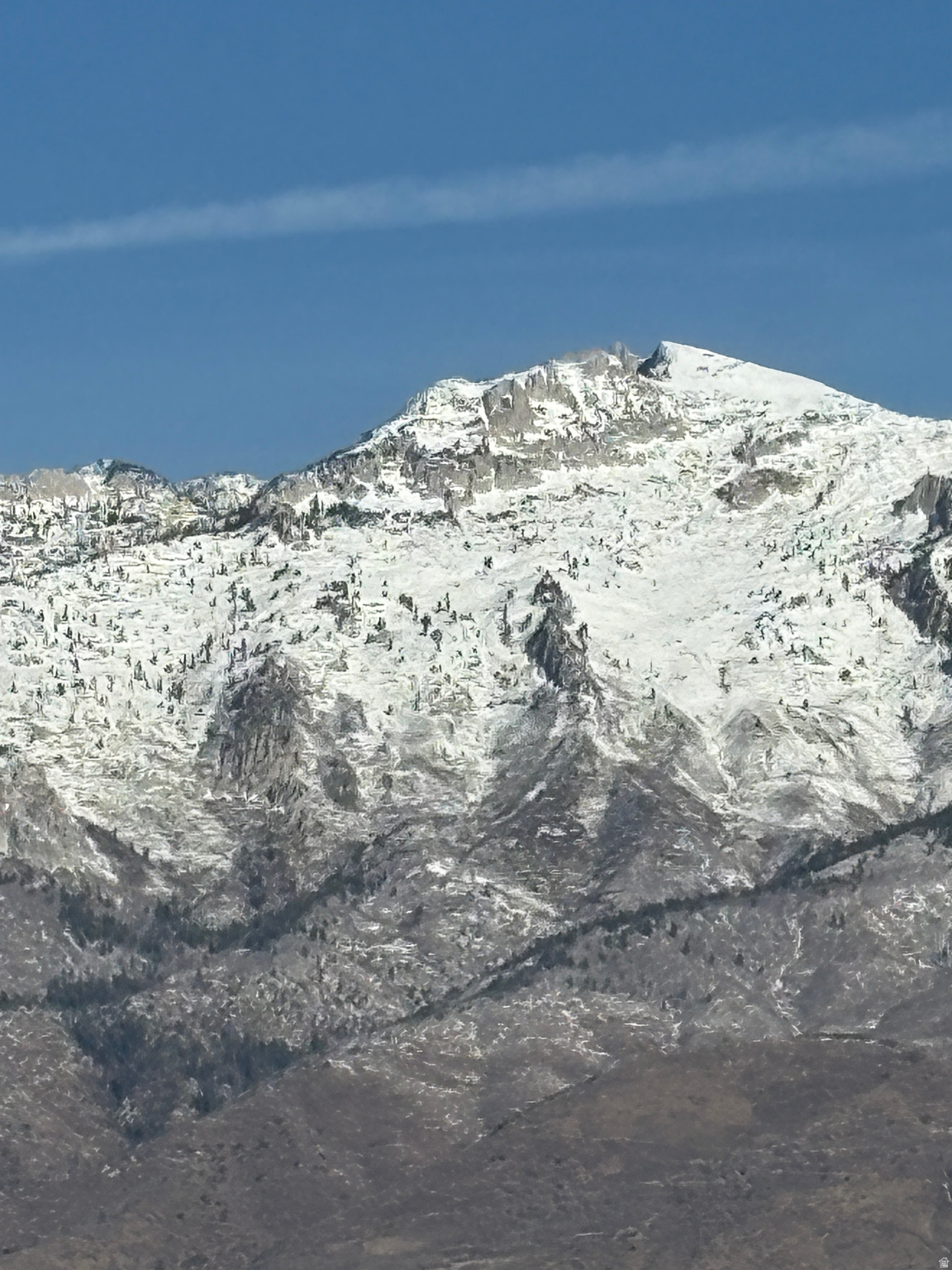 RIDGEVIEW CARRIAGES - Residential