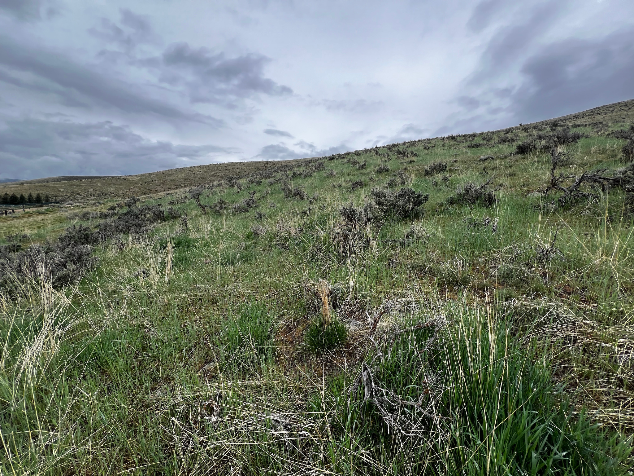 INDIAN HILLS SUB - Land