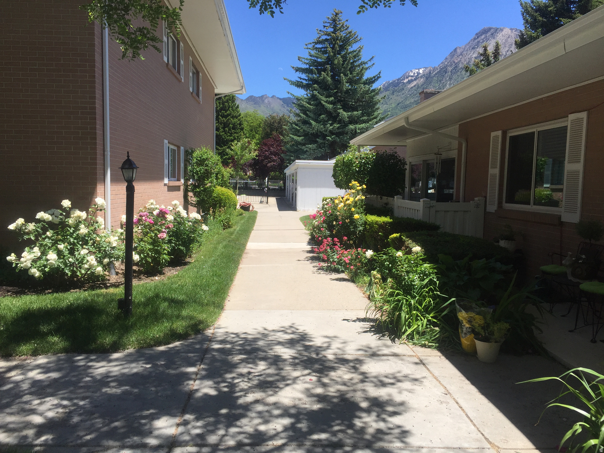 CARRIAGE LANE - Residential