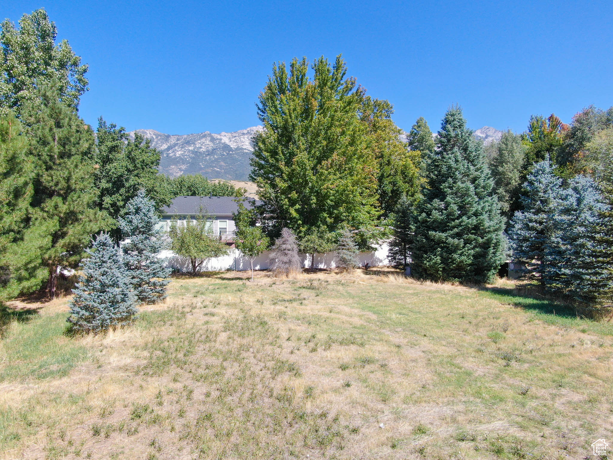 PASKETT COURT - Land