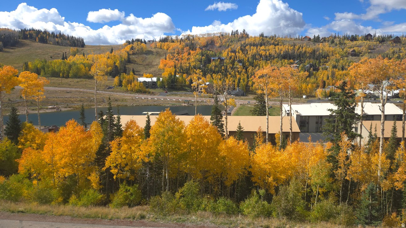 BLACK DIAMOND - Residential