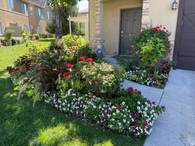 COTTAGES AT 9TH - Residential