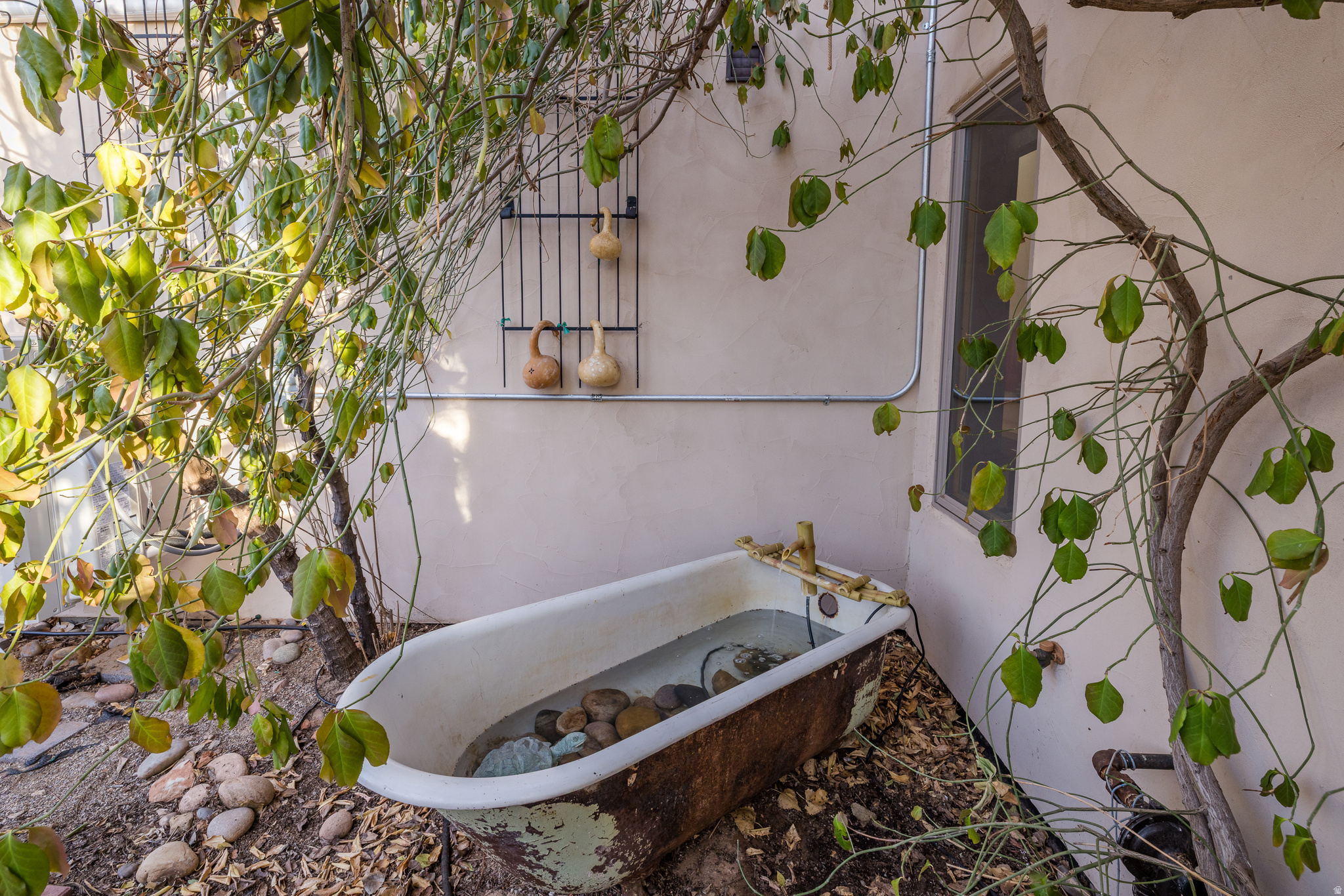 MULE EAR ACCRES - Residential