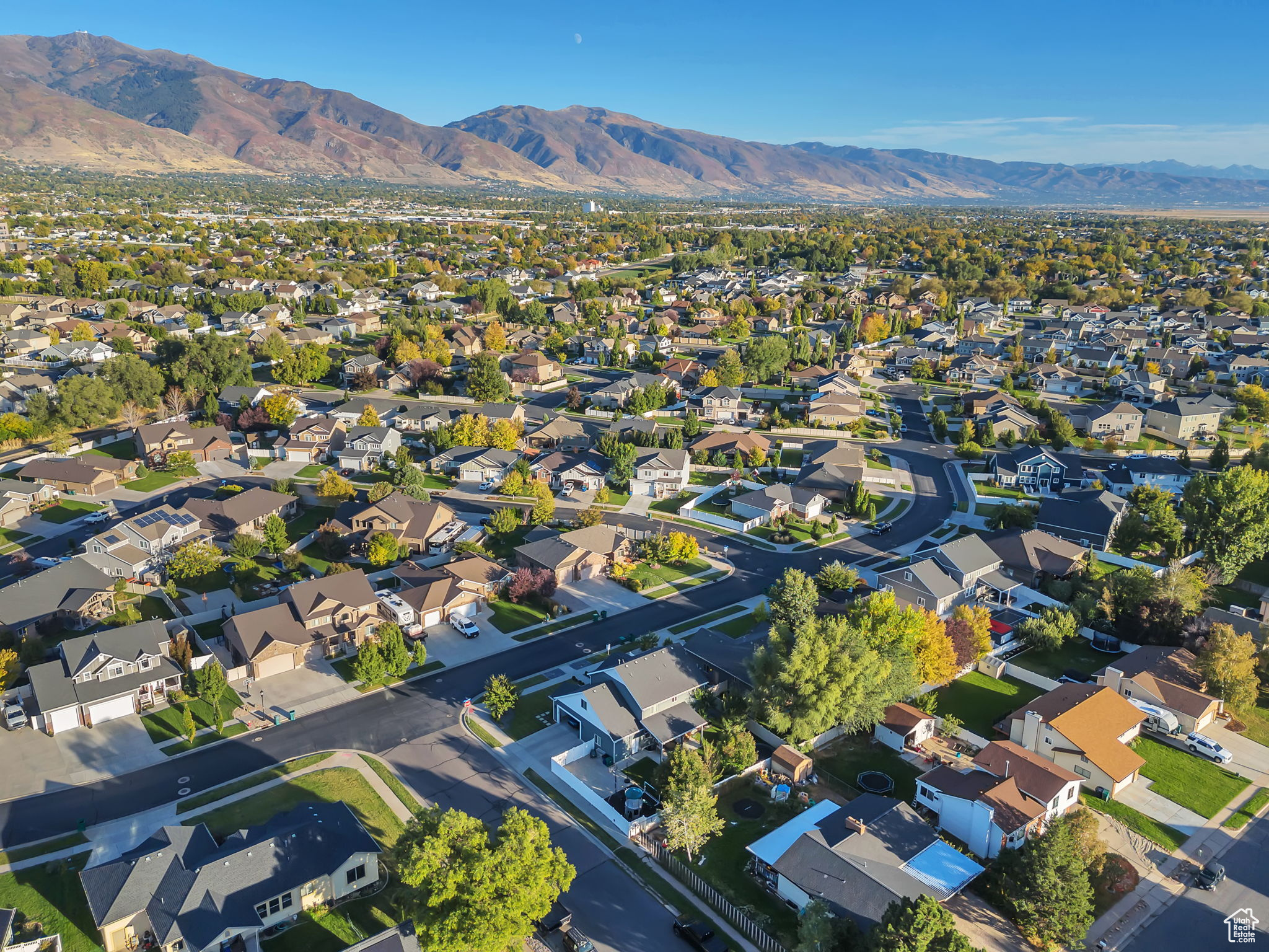 WEAVER PARK - Residential