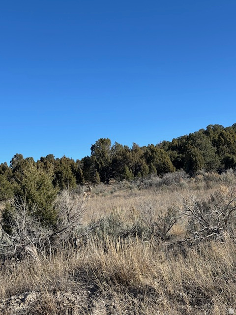 HIDEAWAY VALLEY - Land