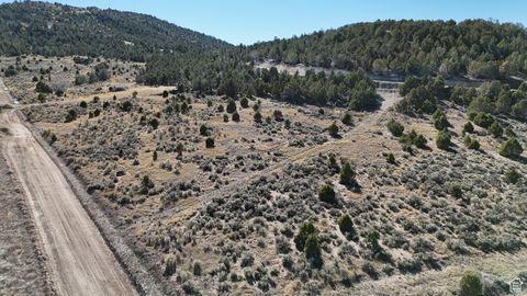 Tiny photo for 23 N BLACKHAWK MT ESTATES RD #23, Indianola, UT 84629 (MLS # 1795786)