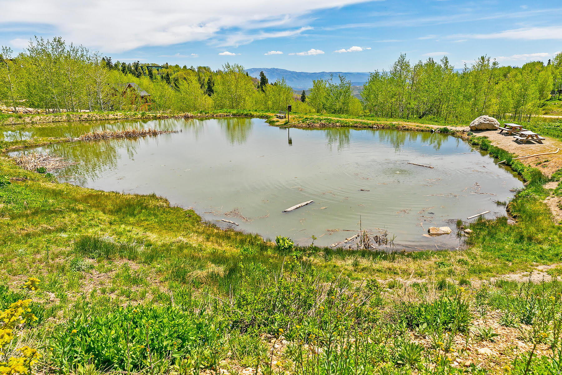PINE MEADOW RANCH - Land