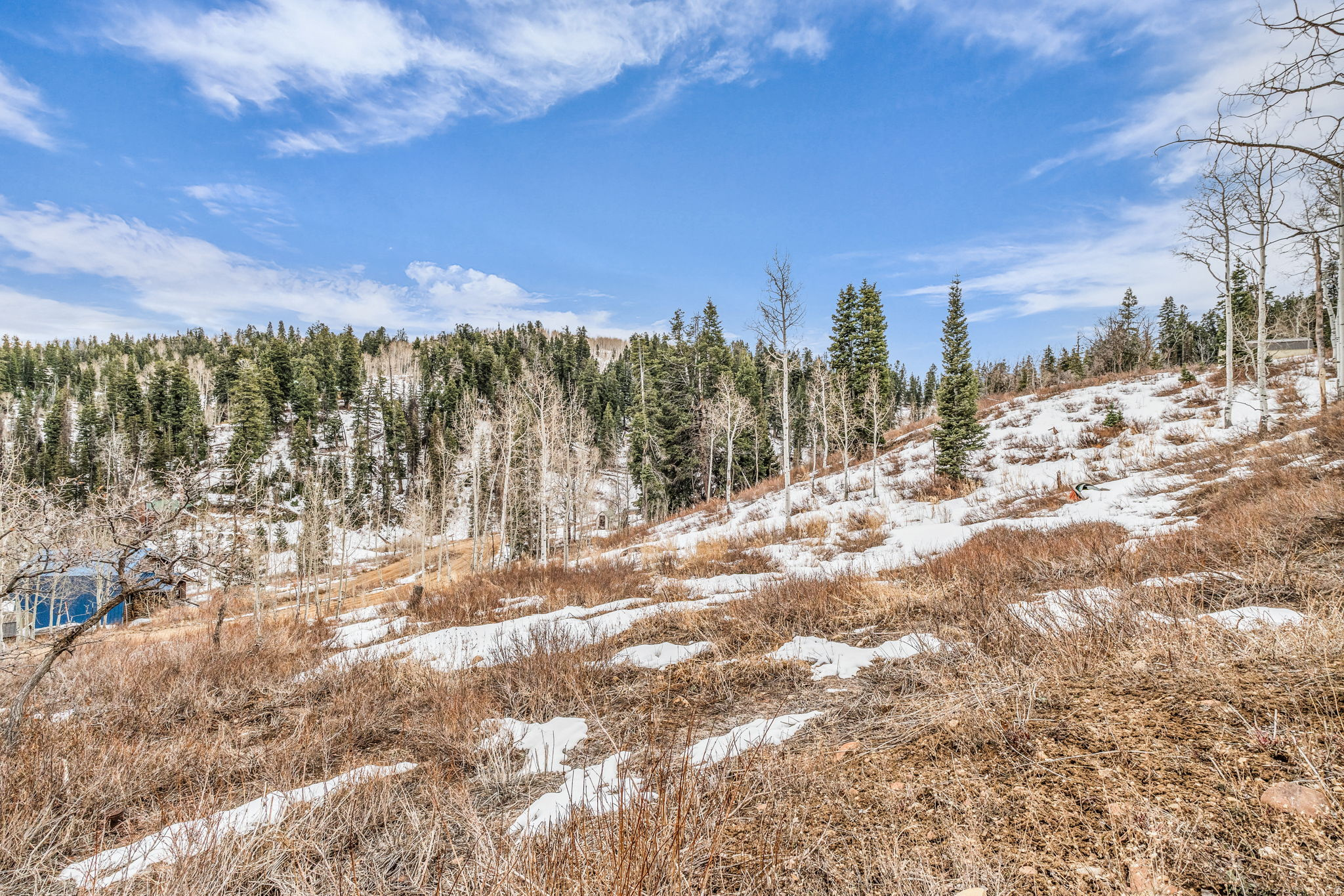 PINE MEADOW RANCH - Land