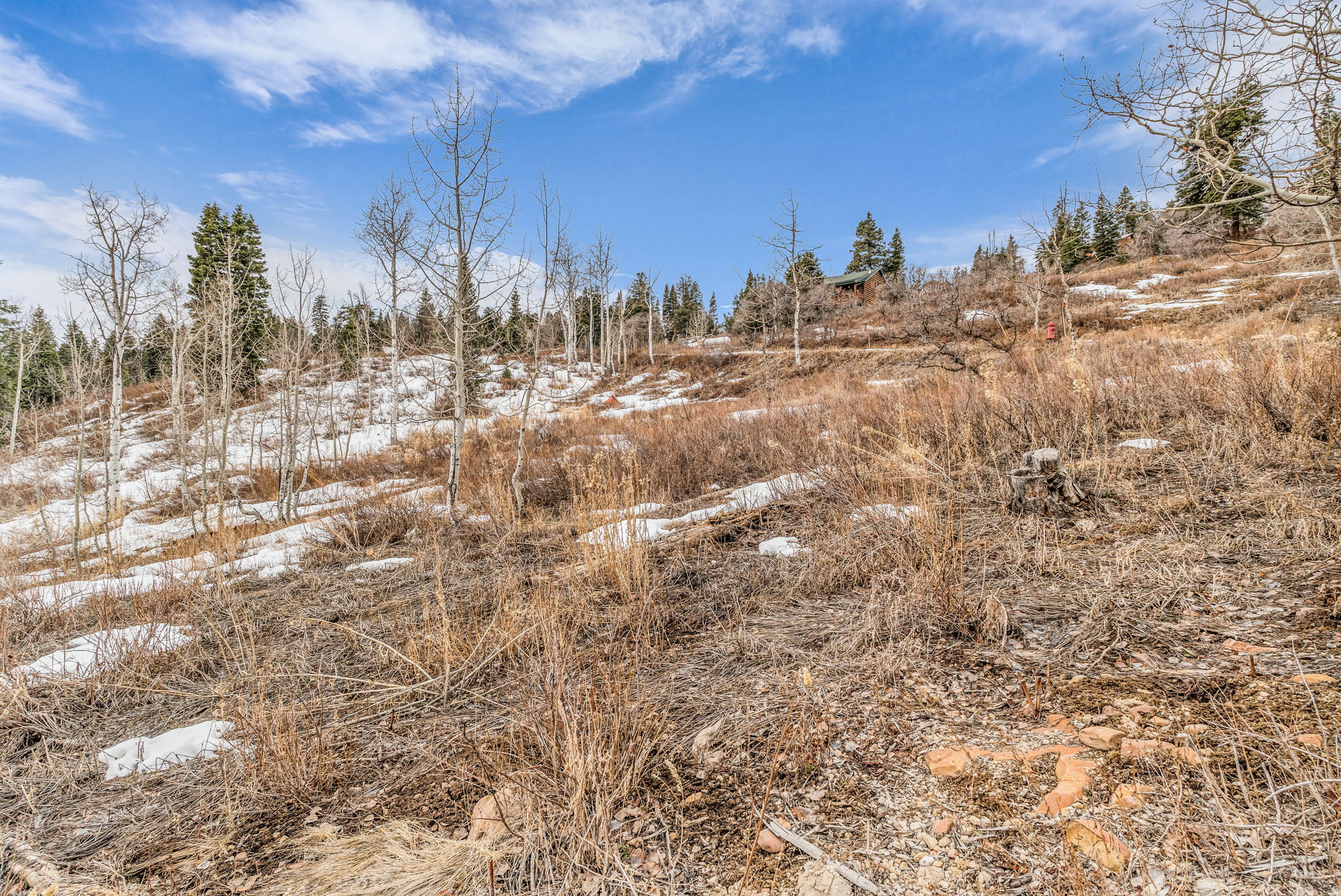 PINE MEADOW RANCH - Land