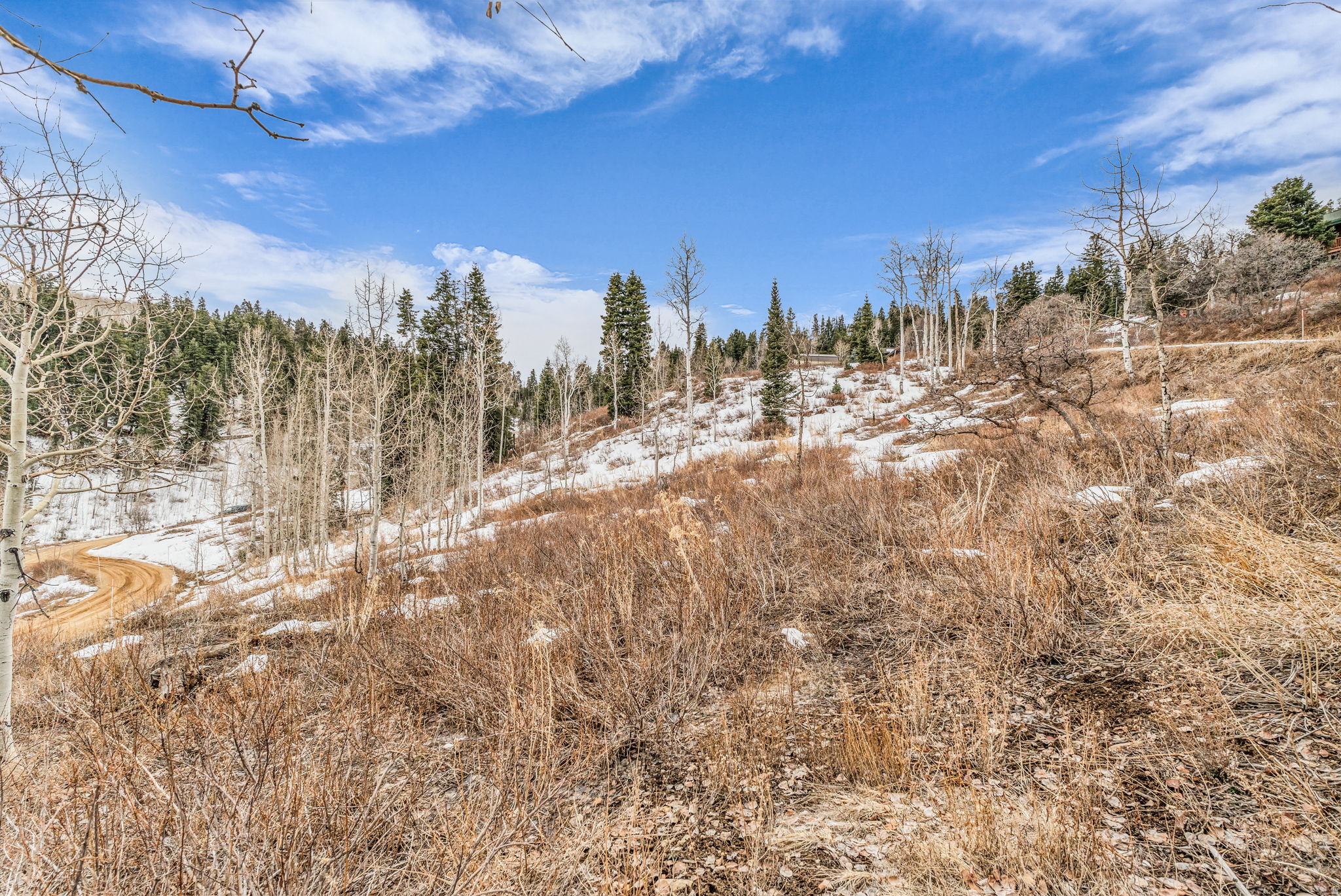 PINE MEADOW RANCH - Land